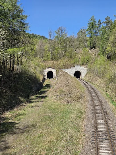 Tunel kolejowy pod Wołowcem